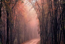 纽约外围上门服务