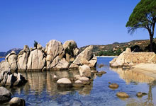 洛杉矶围经纪人微信